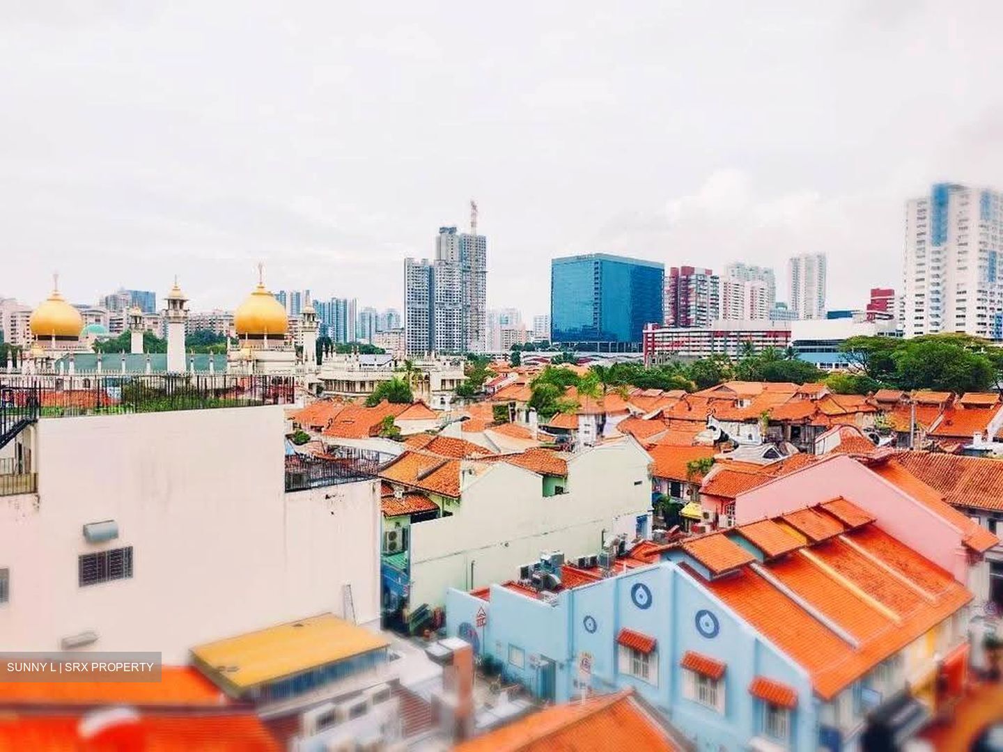 Arab Street (D7), Retail #613309641